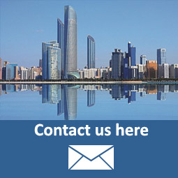 Bug sweeping service Middle East